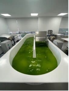 ALGBIO facility
