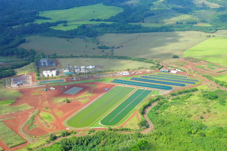 Global Algae Innovations facility